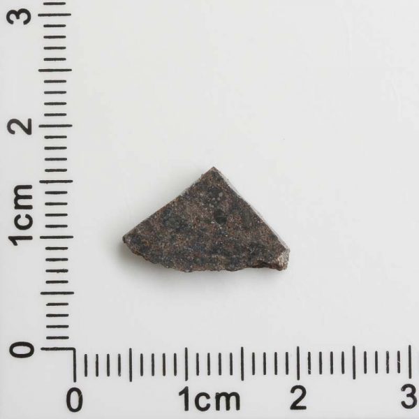 NWA 8287 Meteorite 0.89g
