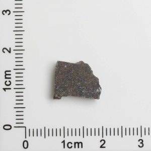 NWA 8287 Meteorite 1.09g