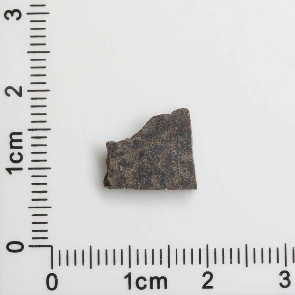 NWA 8287 Meteorite 1.02g