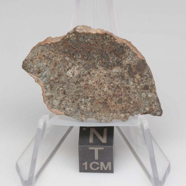 NWA 8384 Meteorite 7.2g