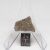 NWA 8384 Meteorite 1.7g