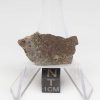 NWA 8384 Meteorite 3.5g