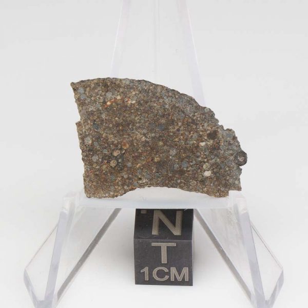NWA 8384 Meteorite 3.1g
