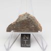 NWA 8384 Meteorite 3.9g