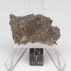 NWA 8384 Meteorite 4.9g