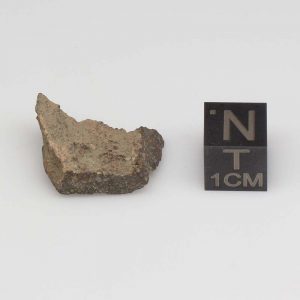 NWA 8384 Meteorite 3.1g