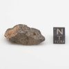 NWA 8384 Meteorite 9.3g