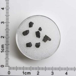 NWA 8534 CM1/2 Meteorite 0.2g+