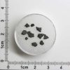 NWA 8534 CM1/2 Meteorite 0.2g+