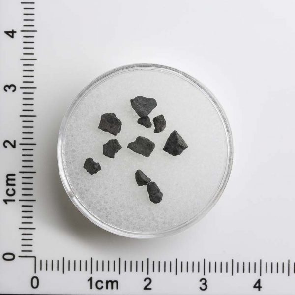 NWA 8534 CM1/2 Meteorite 0.2g+