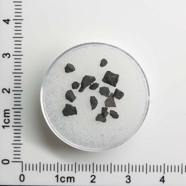 NWA 8534 CM1/2 Meteorite 0.2g+