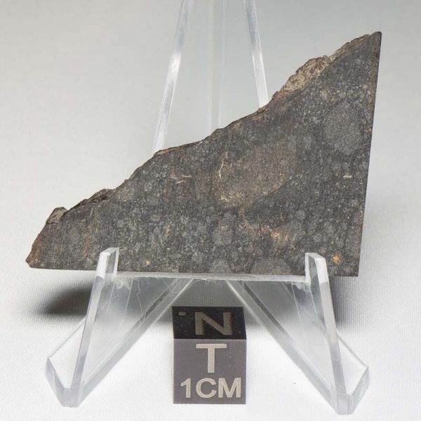 NWA 8655 Meteorite 14.1g