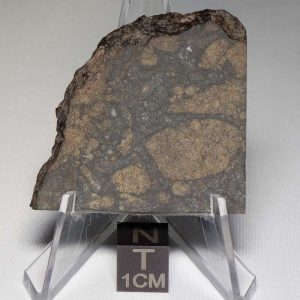 NWA 8655 Meteorite 19.7g