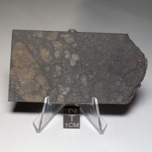 NWA 8655 Meteorite 52.7g