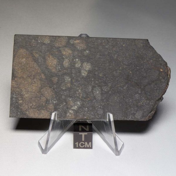 NWA 8655 Meteorite 52.7g