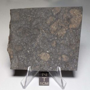 NWA 8655 Meteorite 66.7g
