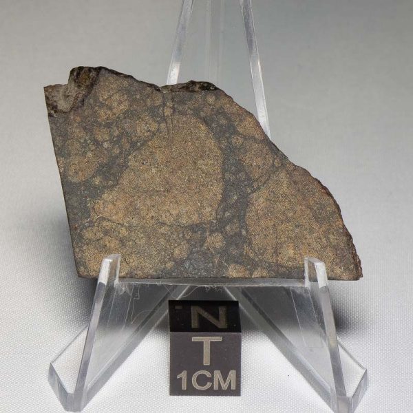 NWA 8655 Meteorite 13.9g