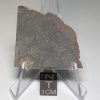 NWA 8655 Meteorite 16.6g