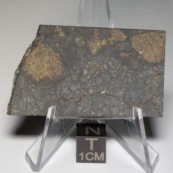 NWA 8655 Meteorite 23.0g