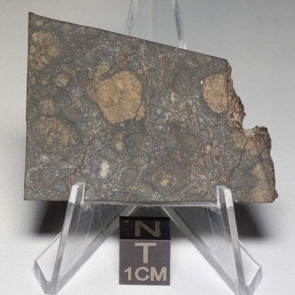 NWA 8655 Meteorite 21.7g