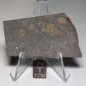 NWA 8655 Meteorite 24.7g