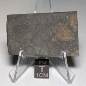 NWA 8655 Meteorite 22.1g