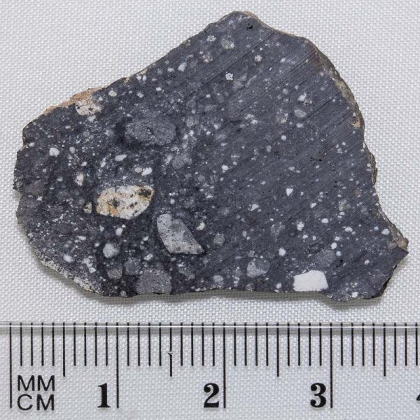 NWA 8682 Lunar Meteorite 2.91g
