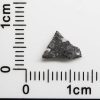 NWA 8682 Lunar Meteorite 0.11g