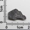 NWA 8682 Lunar Meteorite 0.30g