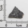 NWA 8682 Lunar Meteorite 0.36g