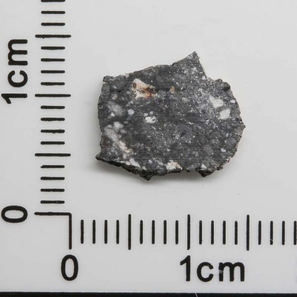 NWA 8682 Lunar Meteorite 0.35g