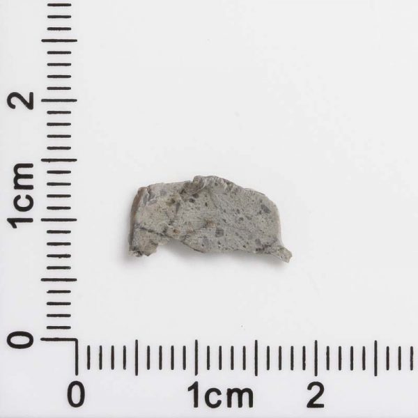 NWA 8687 Lunar Meteorite 0.20g