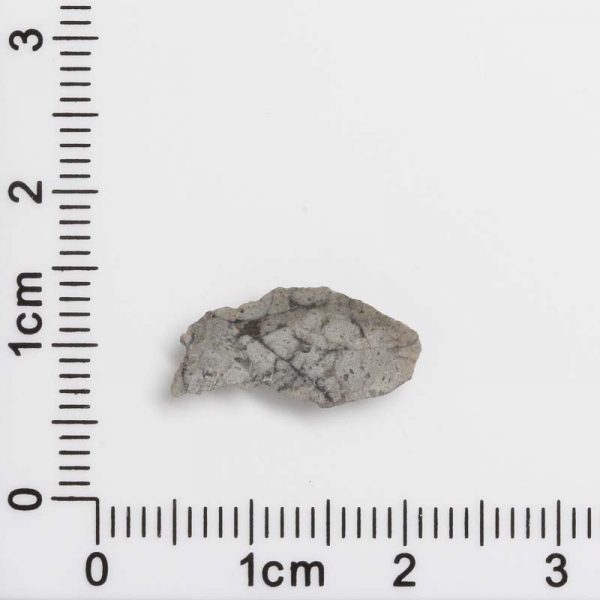 NWA 8687 Lunar Meteorite 0.33g