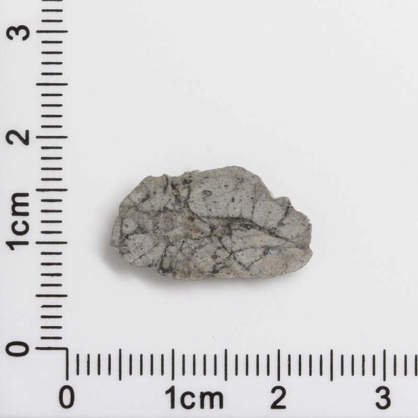 NWA 8687 Lunar Meteorite 0.63g