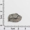 NWA 8687 Lunar Meteorite 0.77g