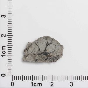 NWA 8687 Lunar Meteorite 0.74g