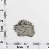 NWA 8687 Lunar Meteorite 0.68g