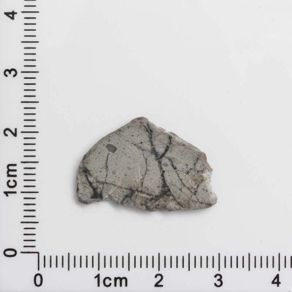 NWA 8687 Lunar Meteorite 0.92g
