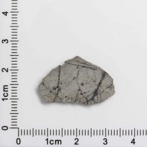 NWA 8687 Lunar Meteorite 1.33g