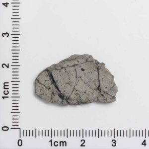 NWA 8687 Lunar Meteorite 1.07g