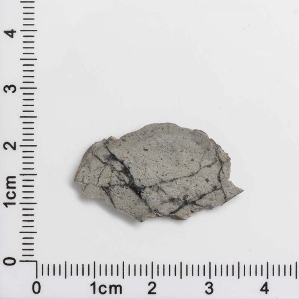 NWA 8687 Lunar Meteorite 1.48g