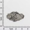 NWA 8687 Lunar Meteorite 1.13g