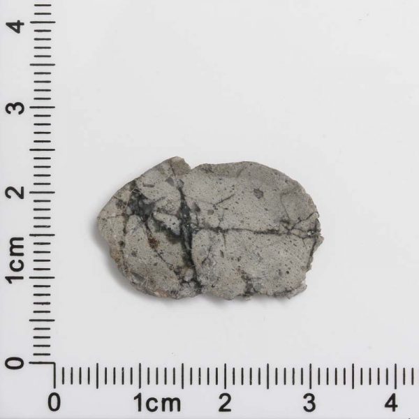 NWA 8687 Lunar Meteorite 1.20g