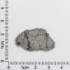 NWA 8687 Lunar Meteorite 1.59g