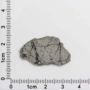 NWA 8687 Lunar Meteorite 1.59g