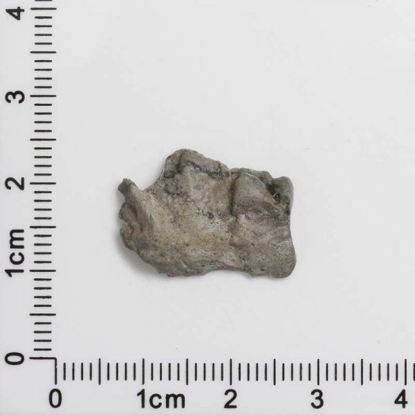 NWA 8687 Lunar Troctolite Meteorite