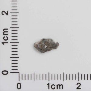 NWA 8687 Lunar Meteorite 0.11g