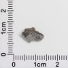 NWA 8687 Lunar Meteorite 0.12g