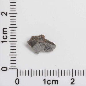 NWA 8687 Lunar Meteorite 0.12g