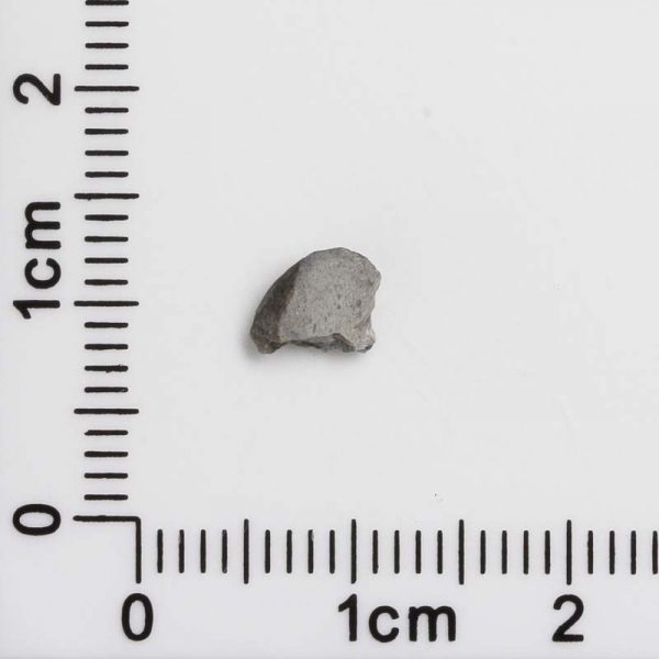 NWA 8687 Lunar Meteorite 0.07g